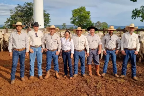 Treinamento de equipes